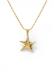 Aquarius statement starfish necklace