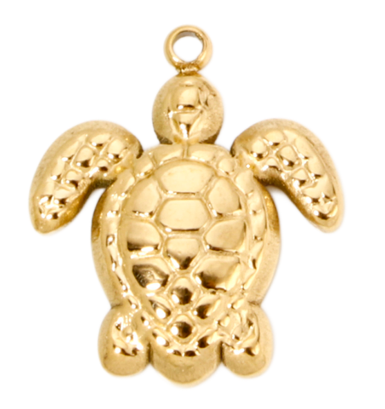 Turtle charm