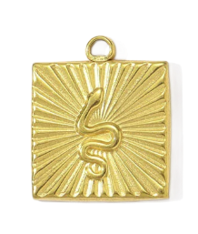 Snake square charm