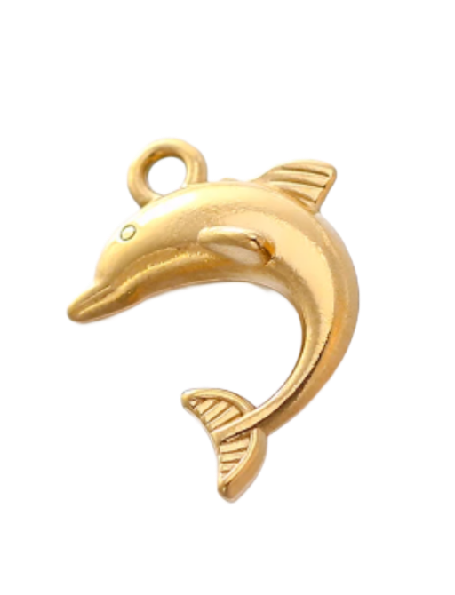 Dolphin charm