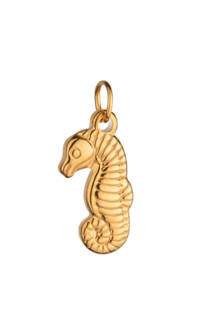 Seahorse charm