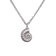 St Lucia Boutique Conch Shell Necklace - Silver - Shop women's Accessories at Charm Avenue